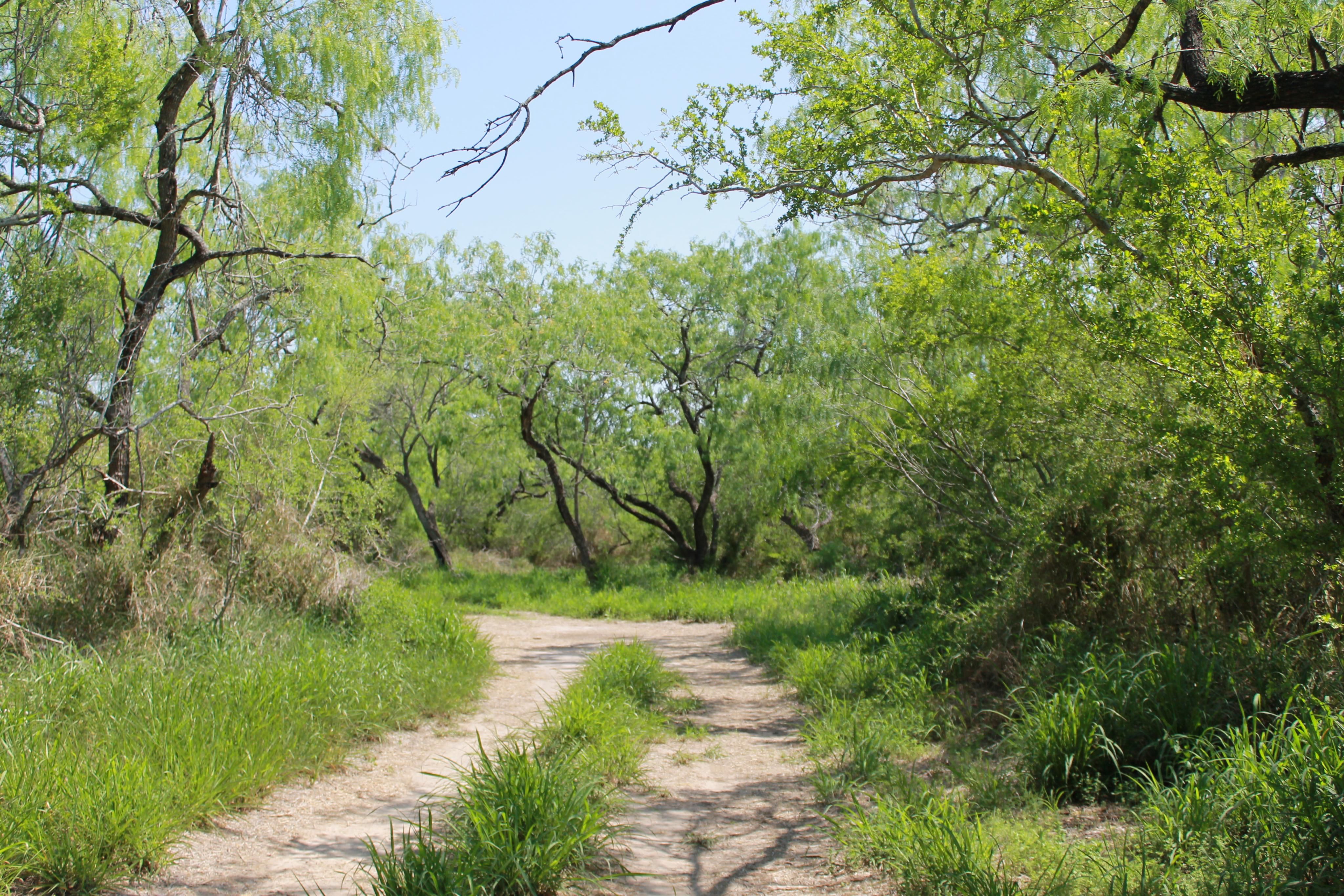 Sandia, Jim Wells County, TX Farms and Ranches for sale Property ID