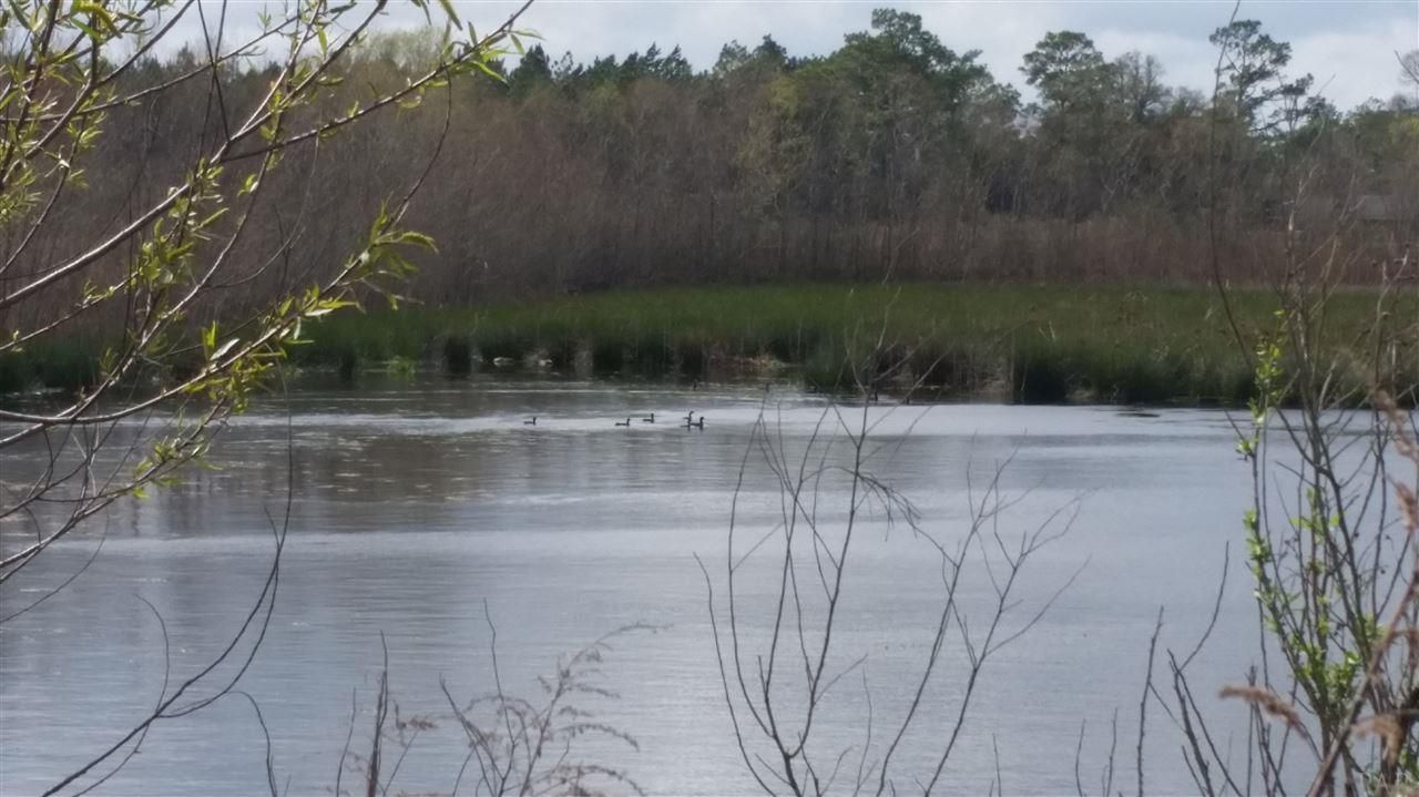 McDavid, Escambia County, FL for sale Property ID 313858596 LandWatch