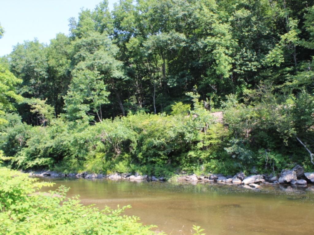 Rockingham, Windham County, VT Lakefront Property, Waterfront Property