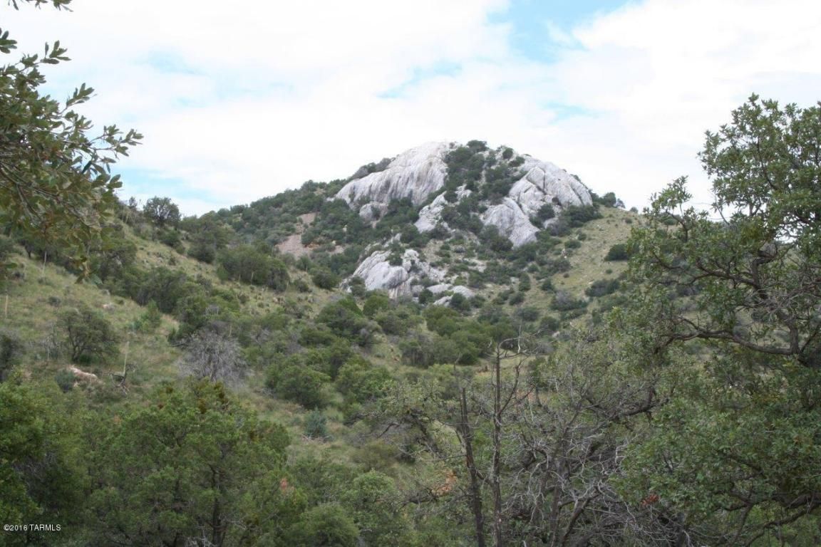 Patagonia, Santa Cruz County, AZ for sale Property ID 4141215 LandWatch