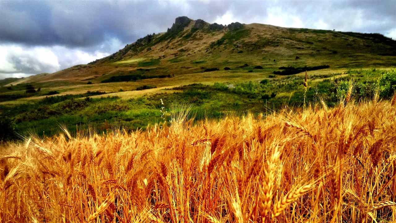 Highwood, Chouteau County, MT Farms and Ranches for sale Property ID