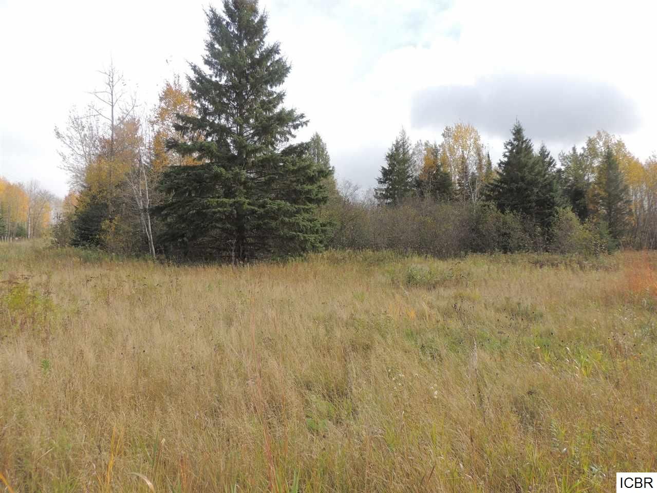 Talmoon, Itasca County, MN Undeveloped Land for sale Property ID