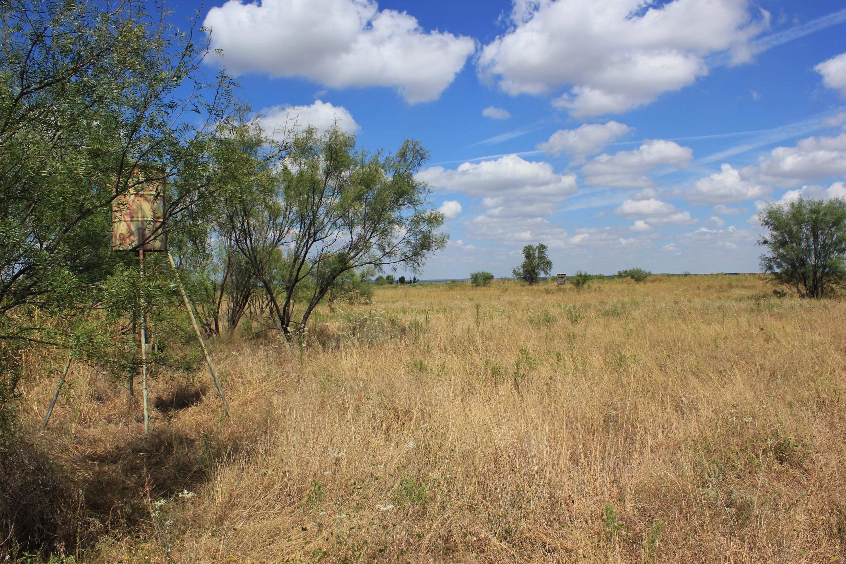 Margaret, Foard County, TX Farms and Ranches for sale Property ID