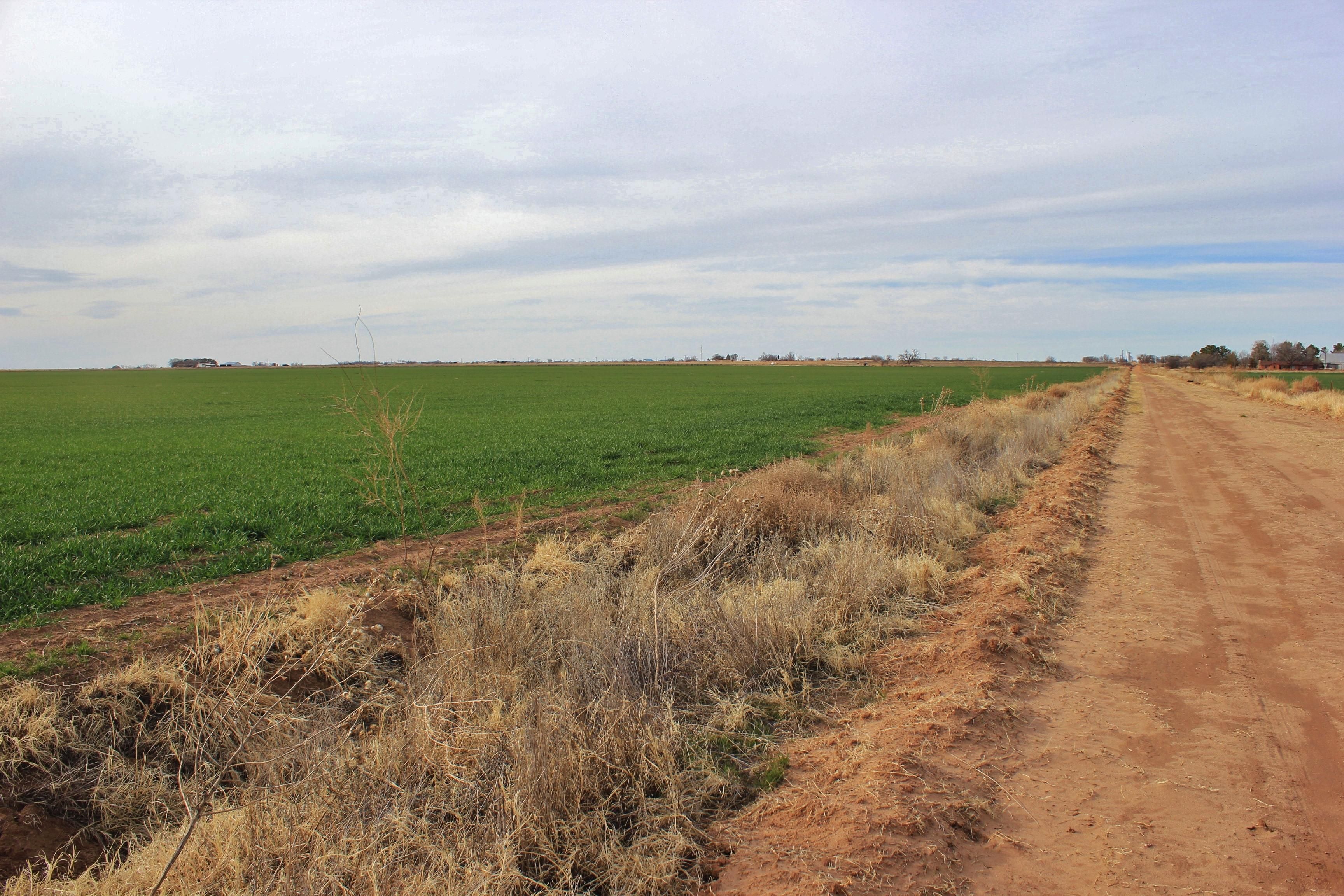 Thalia, Foard County, TX Farms and Ranches for sale Property ID