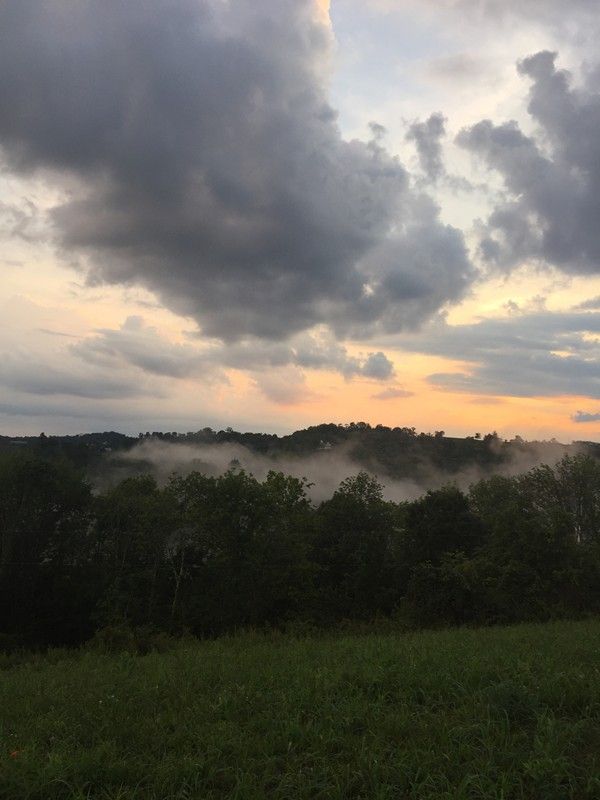 New Martinsville, Wetzel County, WV for sale Property ID 3606722