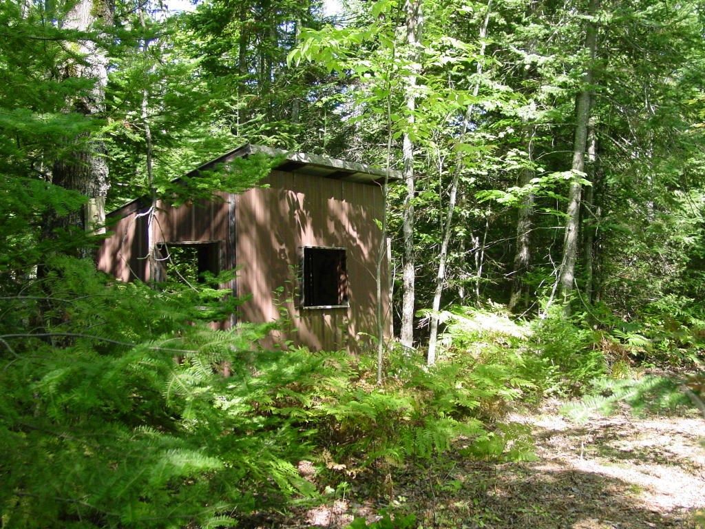 Curtis, Mackinac County, MI Undeveloped Land for sale Property ID