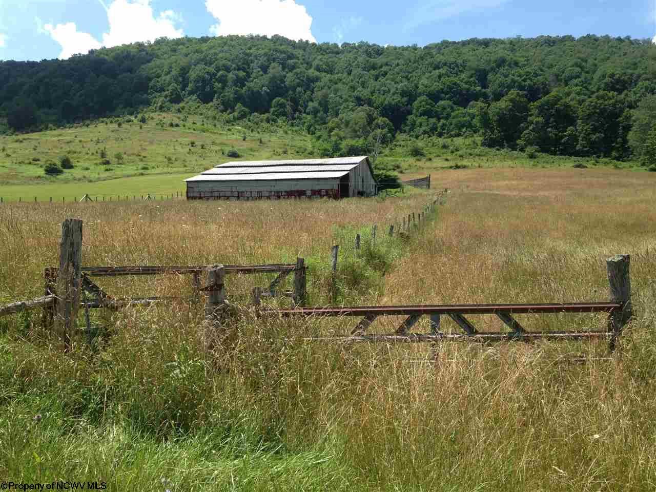 Bowden, Randolph County, WV Farms and Ranches for sale Property ID
