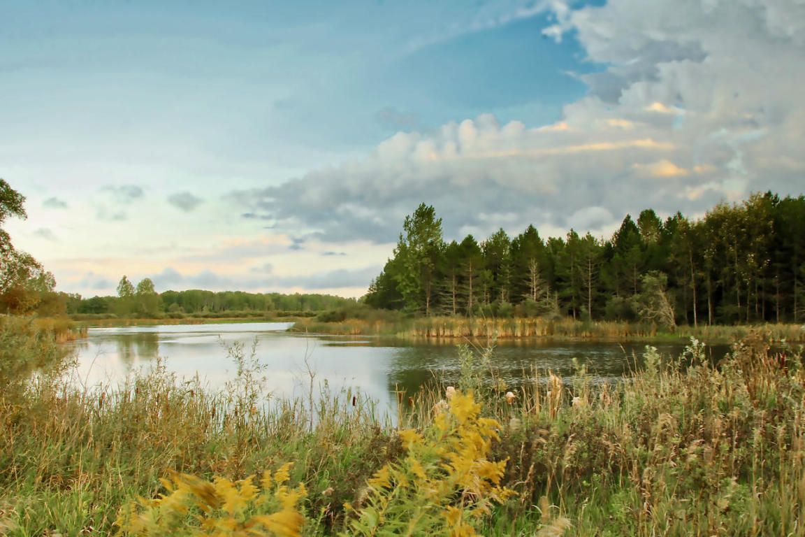 Spruce, Alcona County, MI Lakefront Property, Waterfront Property