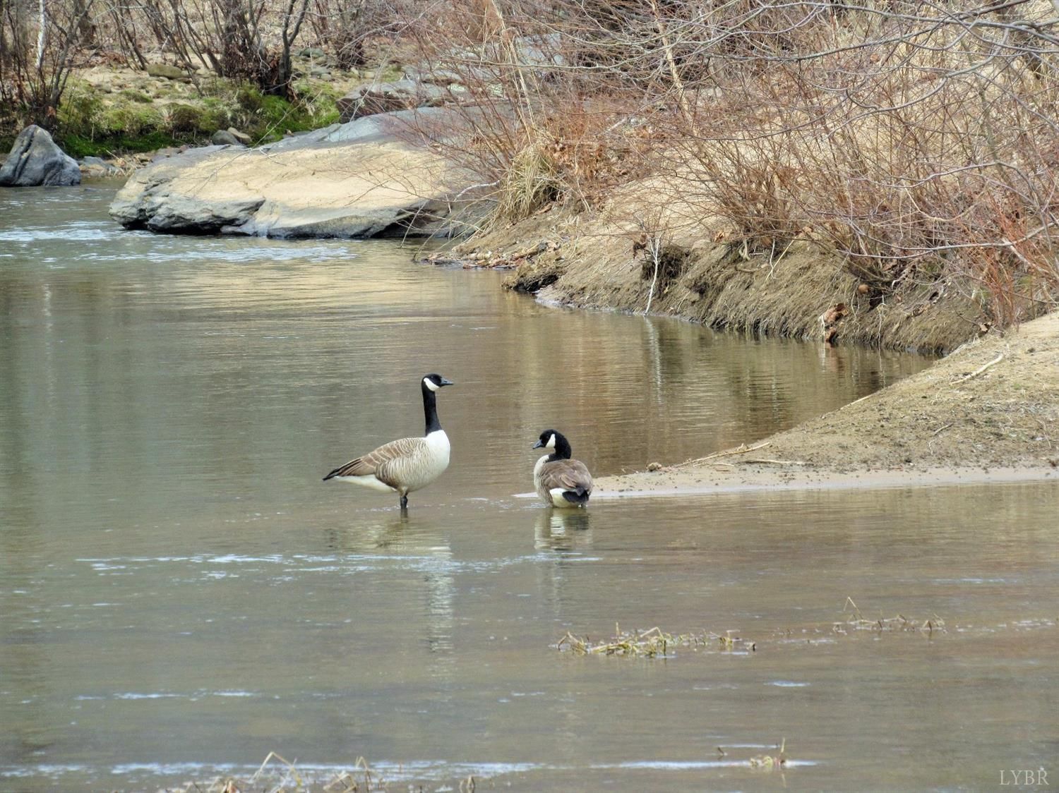 Arrington, Nelson County, VA Undeveloped Land for sale Property ID 27576604 LandWatch