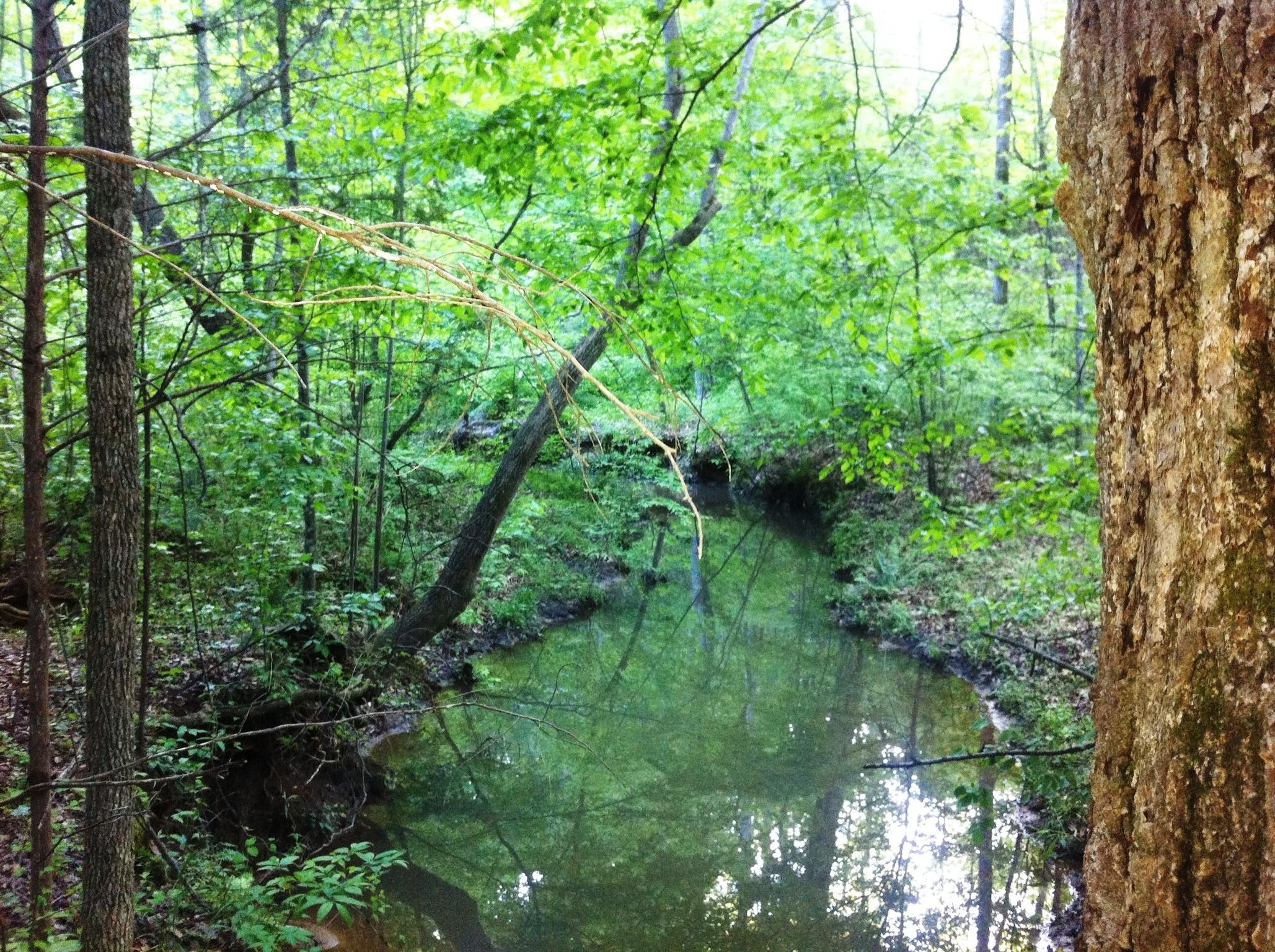 Carlton, Madison County, GA Farms and Ranches for sale Property ID