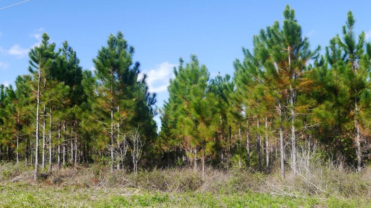 Starke, Bradford County, FL Recreational Property for sale Property ID