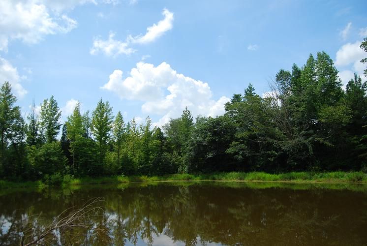 Union, Union County, SC Farms and Ranches for sale Property ID