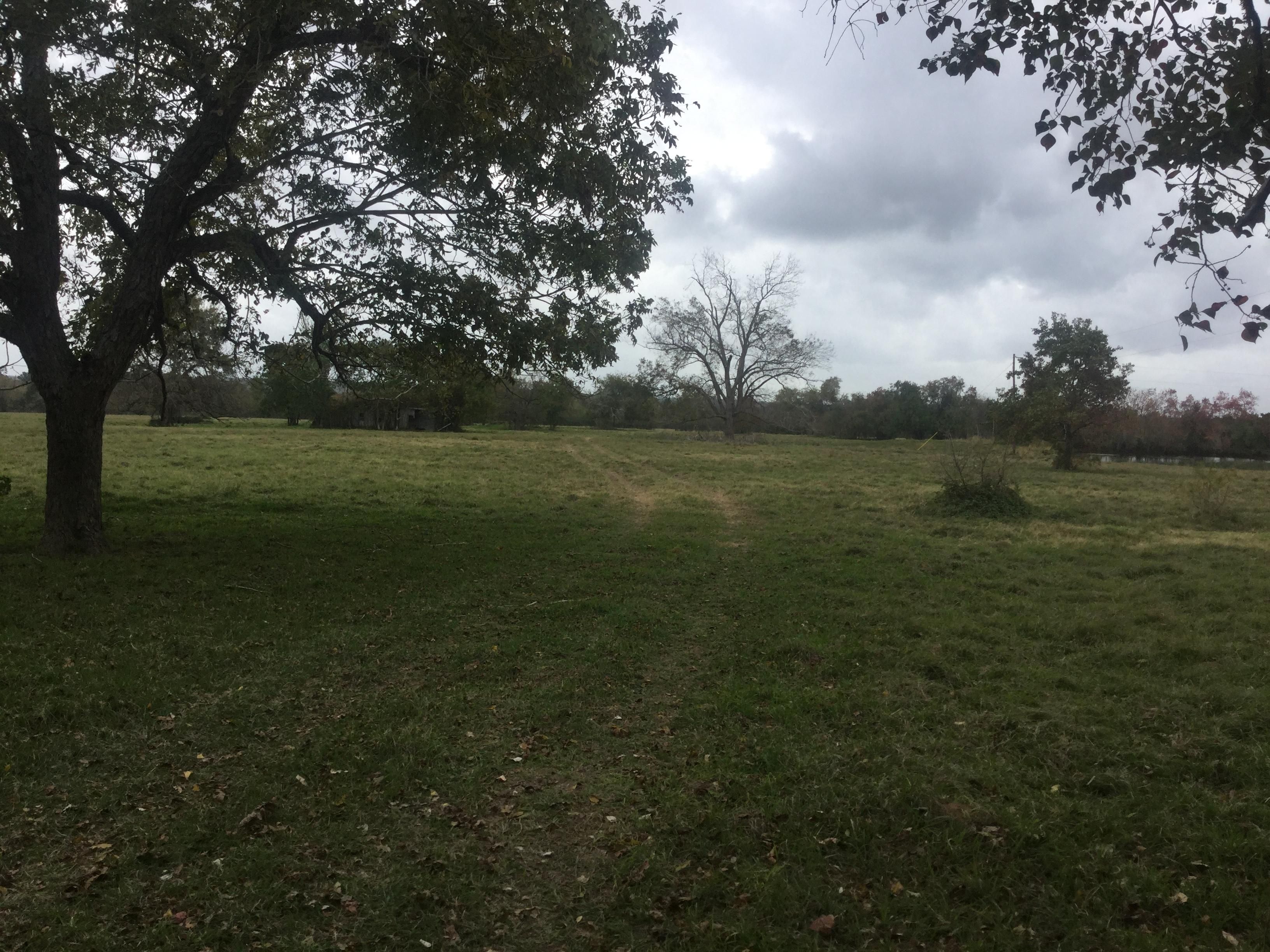 TBD Hwy 105 West, Dobbin, TX 77868 LandWatch