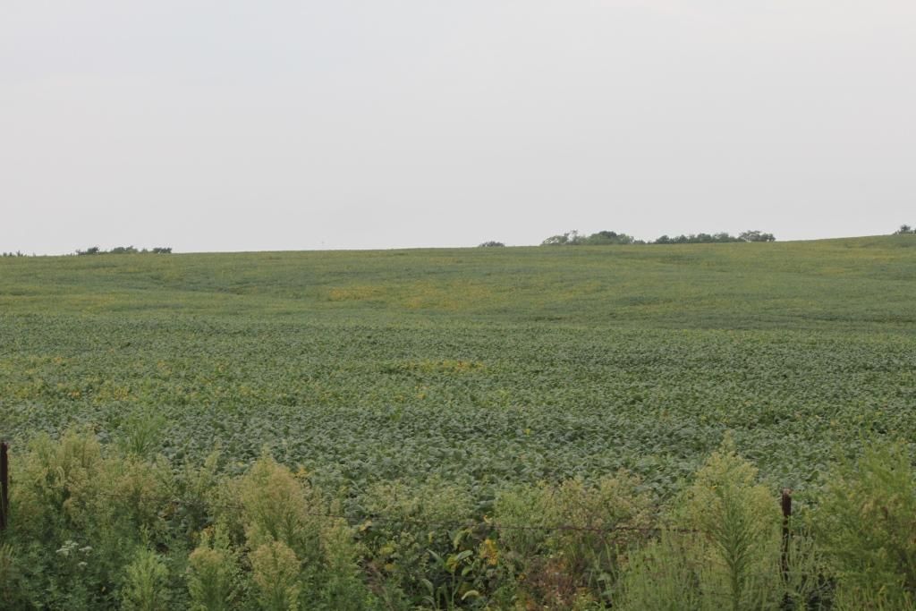 Kingston, Caldwell County, MO Farms and Ranches for sale Property ID