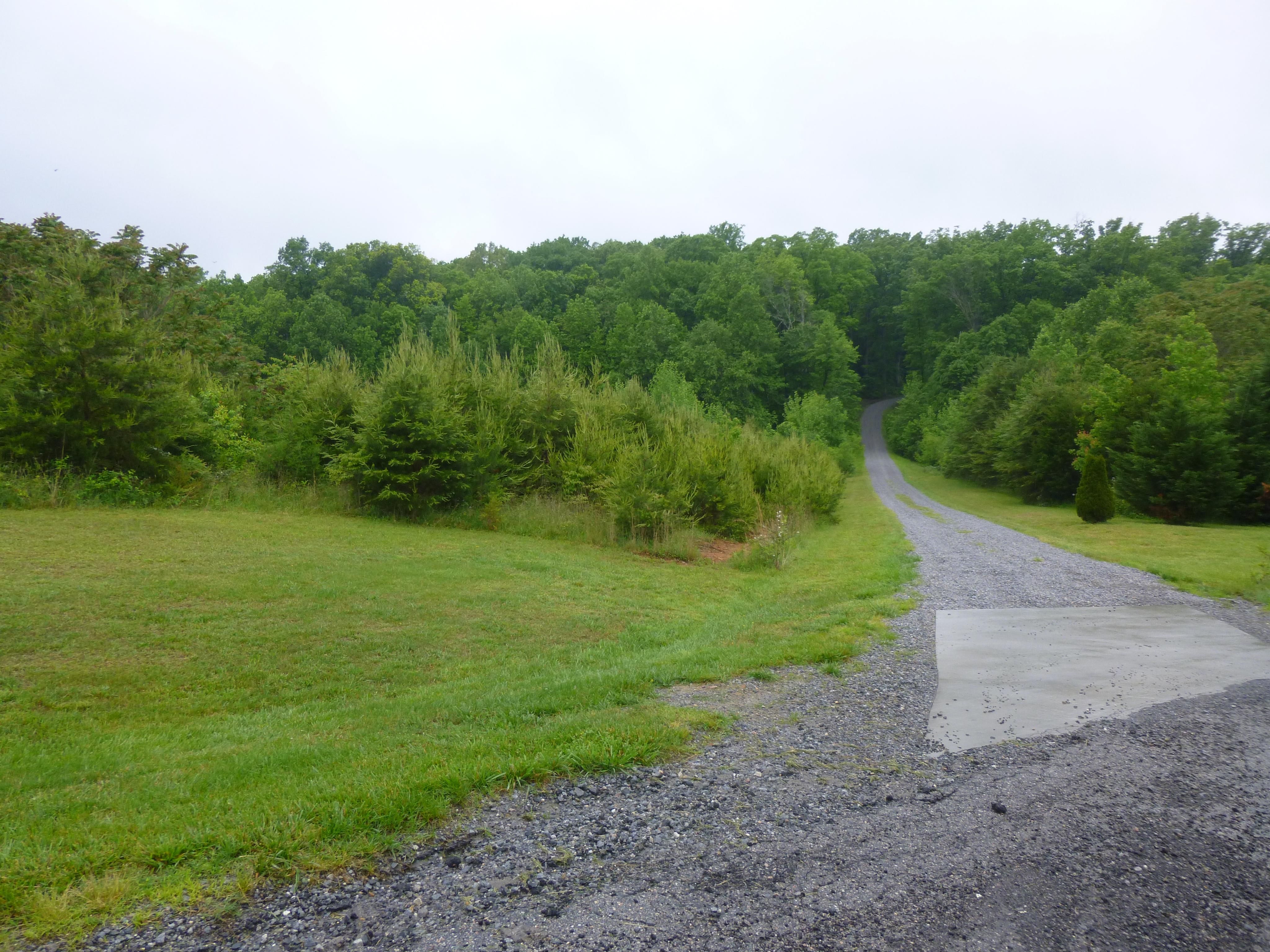 Farmville, Prince Edward County, VA Farms and Ranches for sale Property