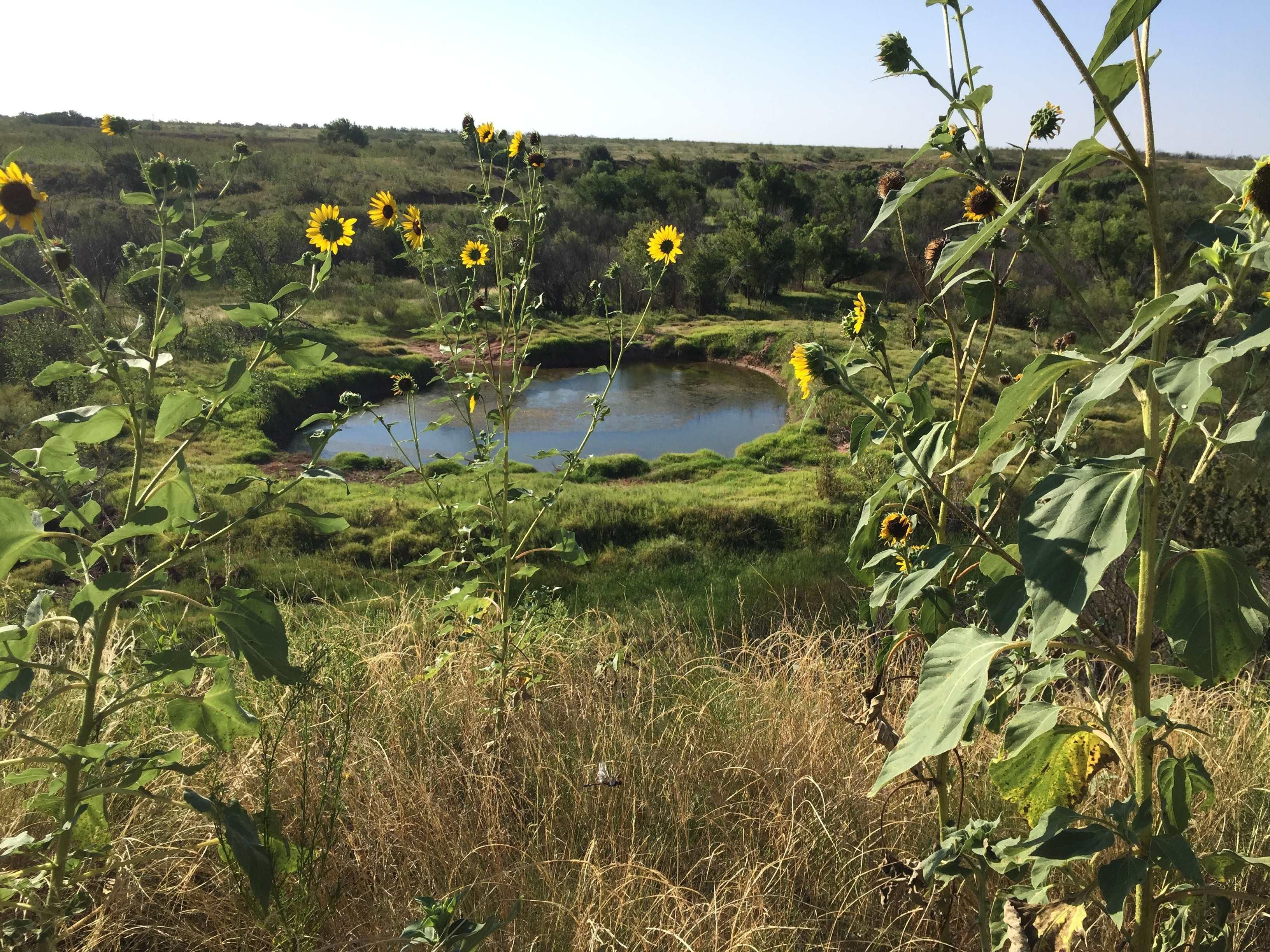 Quitaque, Motley County, TX Farms and Ranches for sale Property ID
