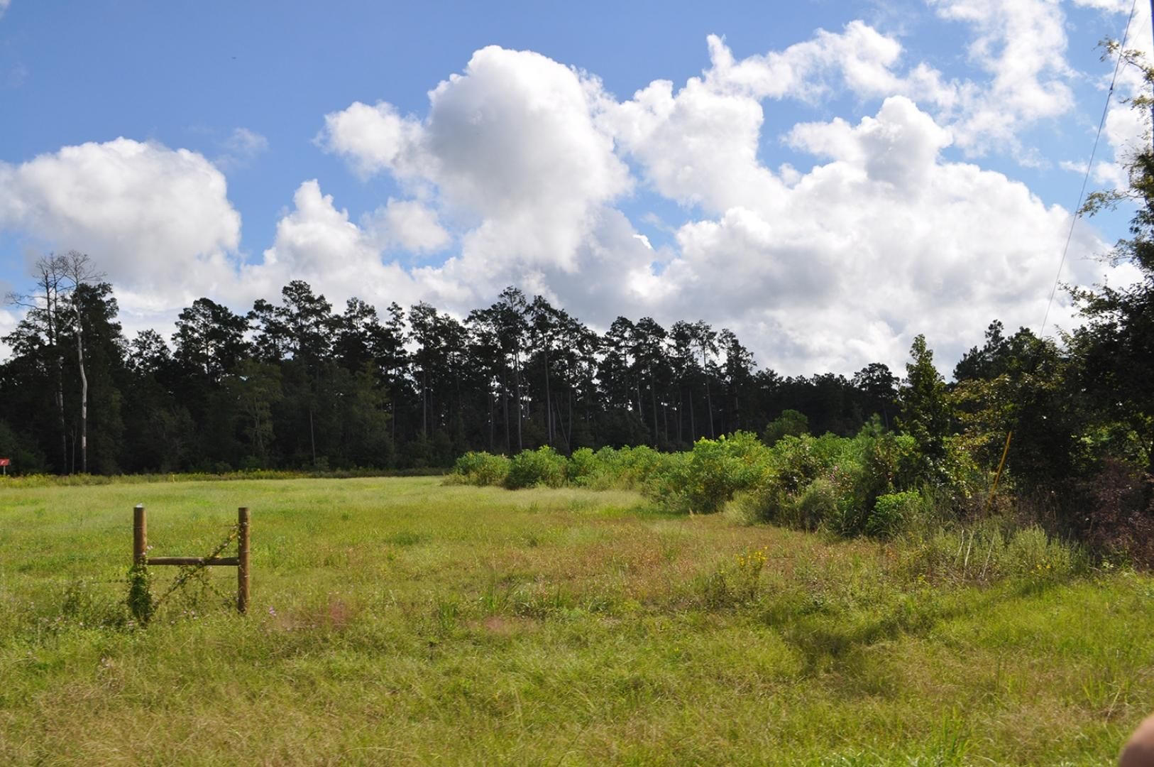 Rye, Liberty County, TX Recreational Property, Timberland Property