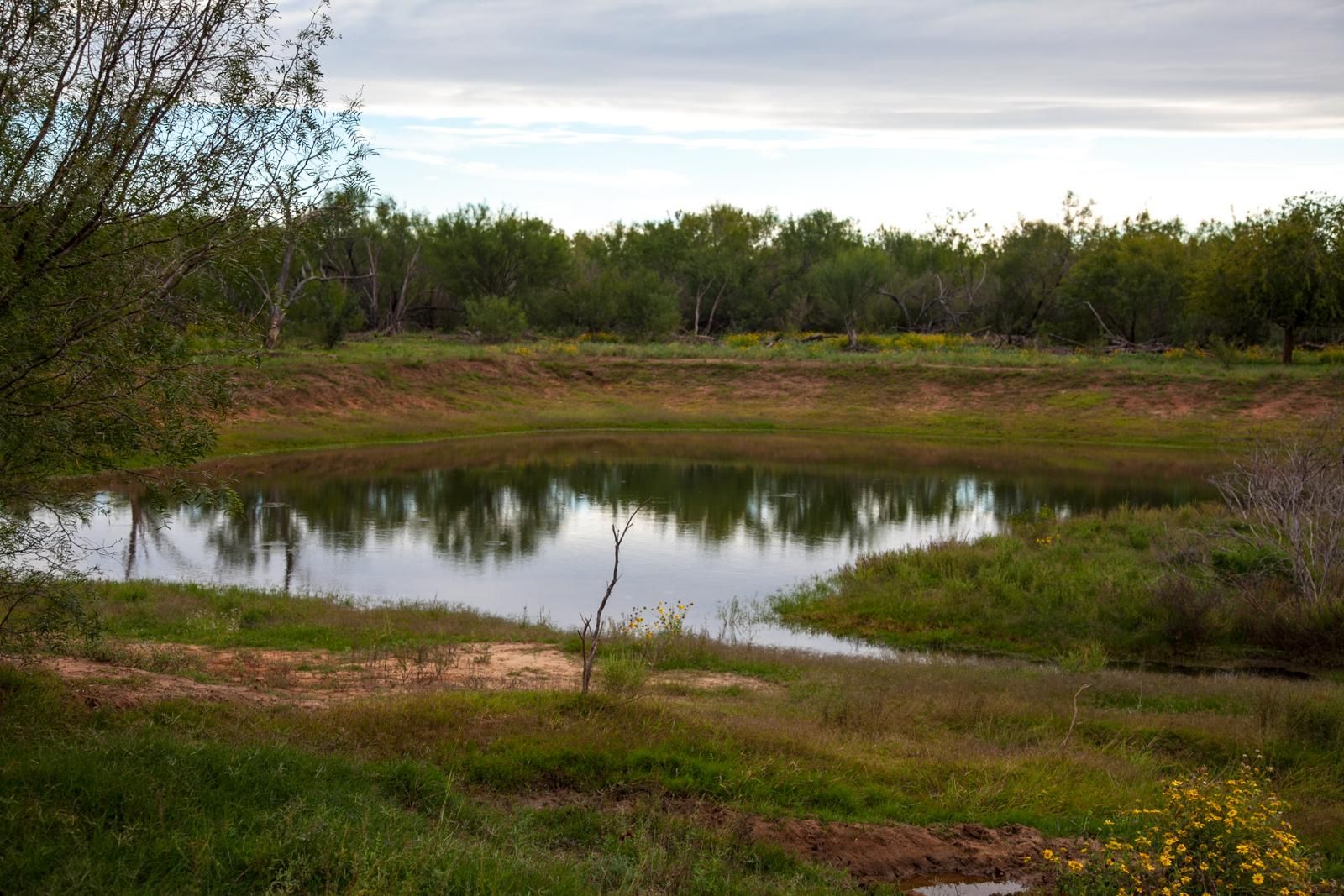 Dilley, Frio County, TX Farms and Ranches for sale Property ID