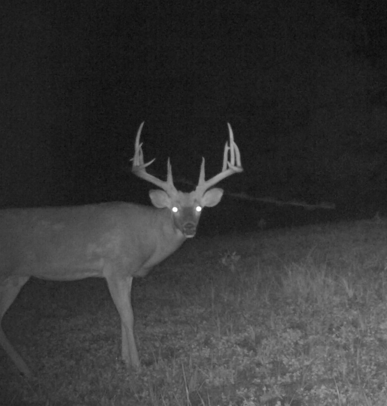 Nebo, Calhoun County, IL Farms and Ranches, House for sale Property ID