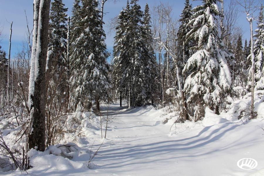 Finland, Lake County, MN Farms and Ranches for sale Property ID 402552243 LandWatch