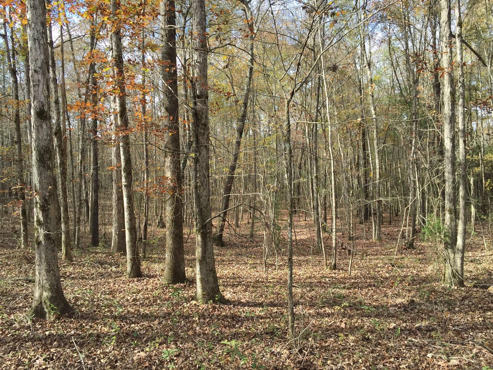 Wilsonville, Shelby County, AL Farms and Ranches for sale Property ID