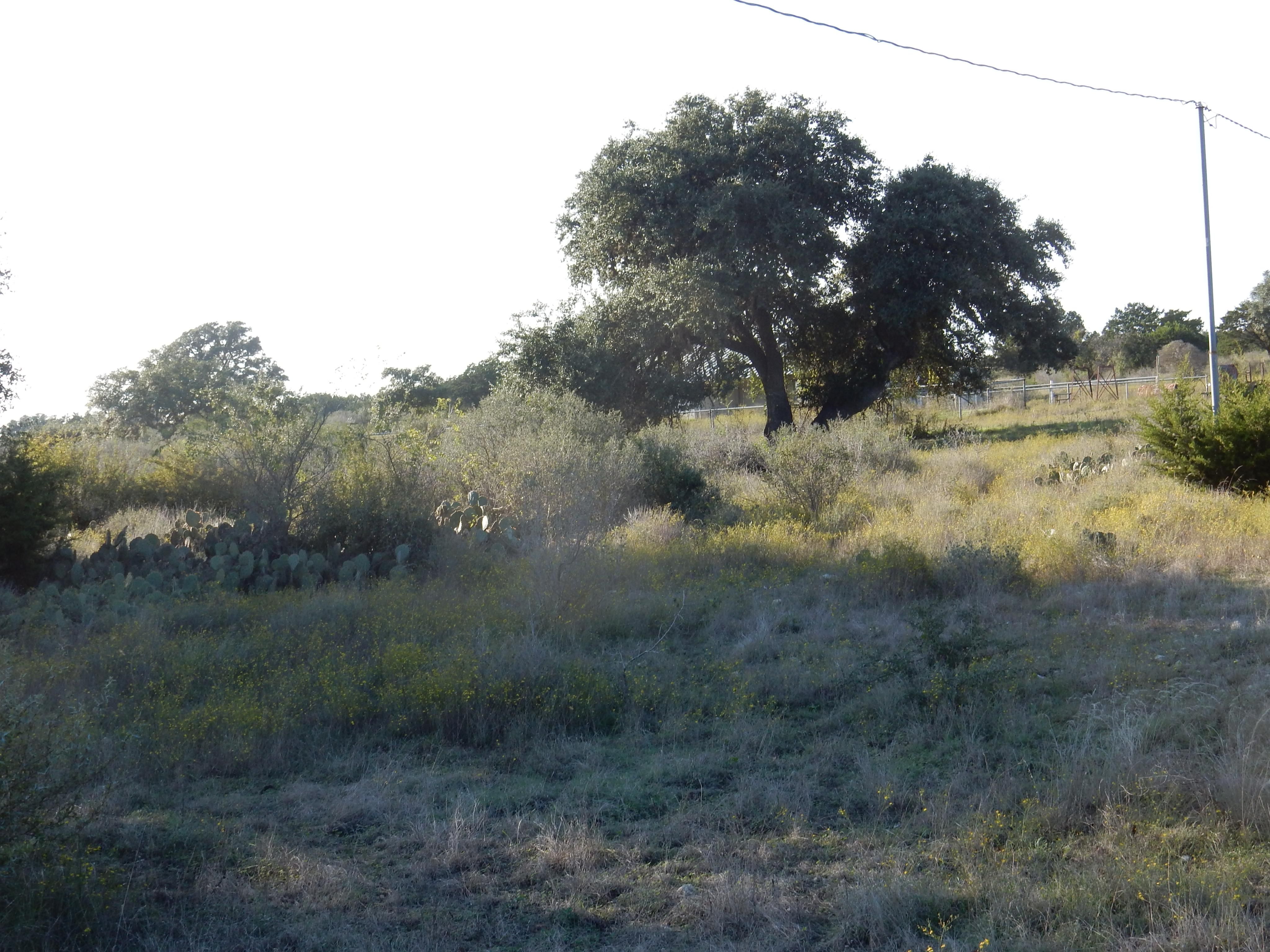 Utopia, Bandera County, TX Farms and Ranches, House for sale Property ID 402518961 LandWatch