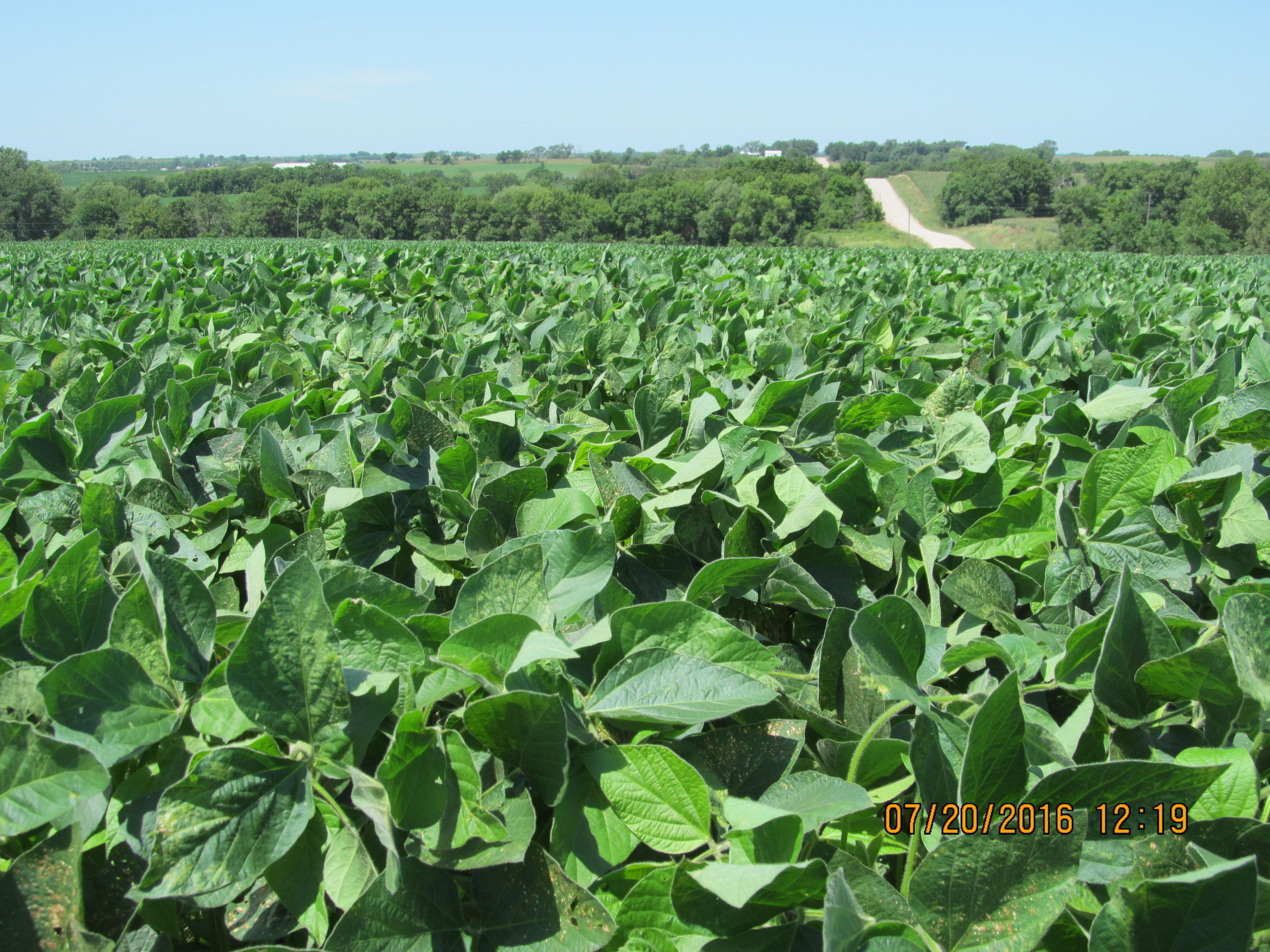 Malcolm, Lancaster County, NE Farms and Ranches for sale Property ID