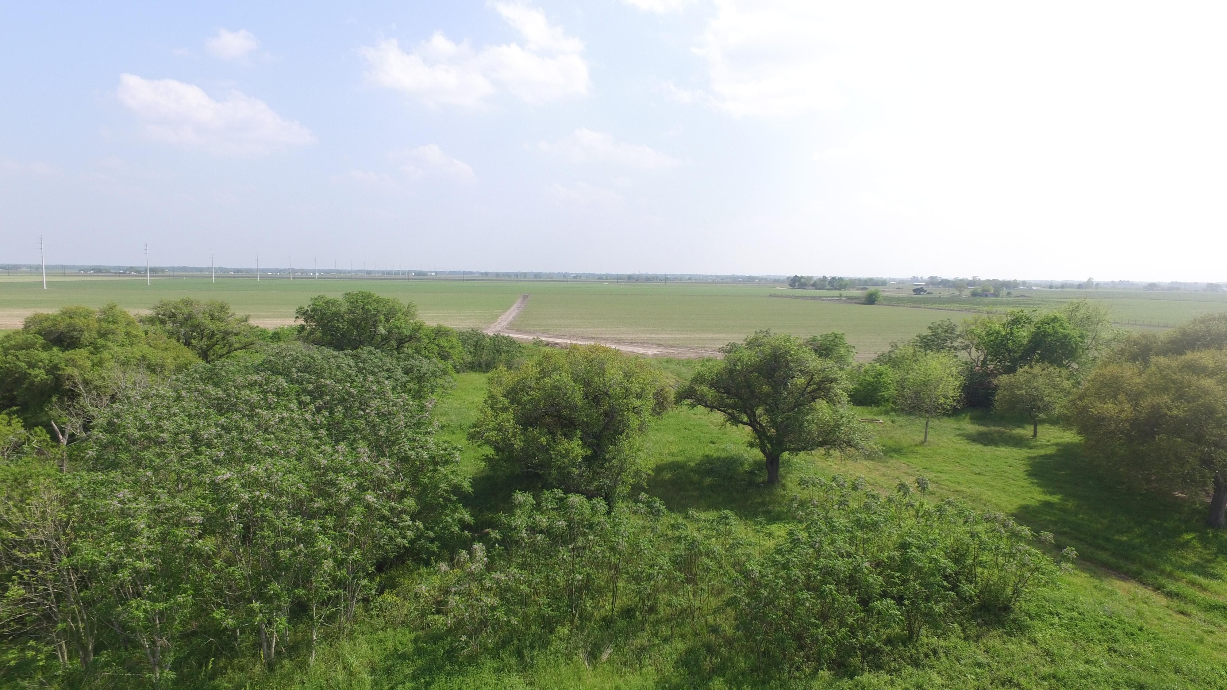 East Bernard, Wharton County, TX Farms and Ranches for sale Property ID