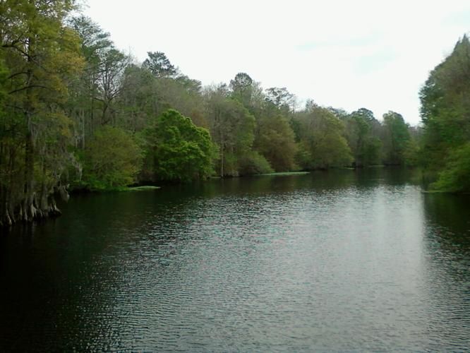 Manning, Clarendon County, SC Farms and Ranches for sale Property ID