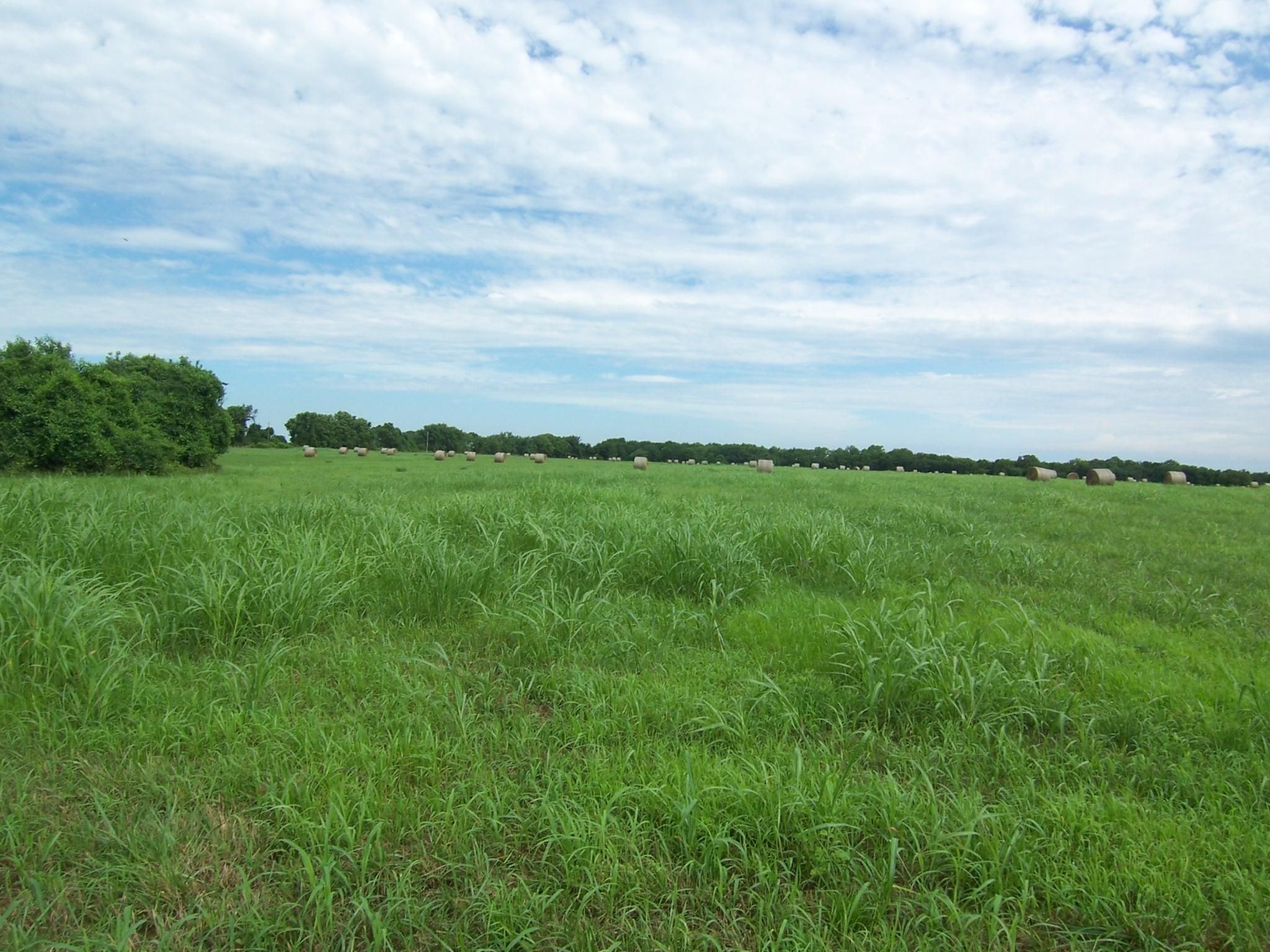 Mapleton, Bourbon County, KS Farms and Ranches for sale Property ID