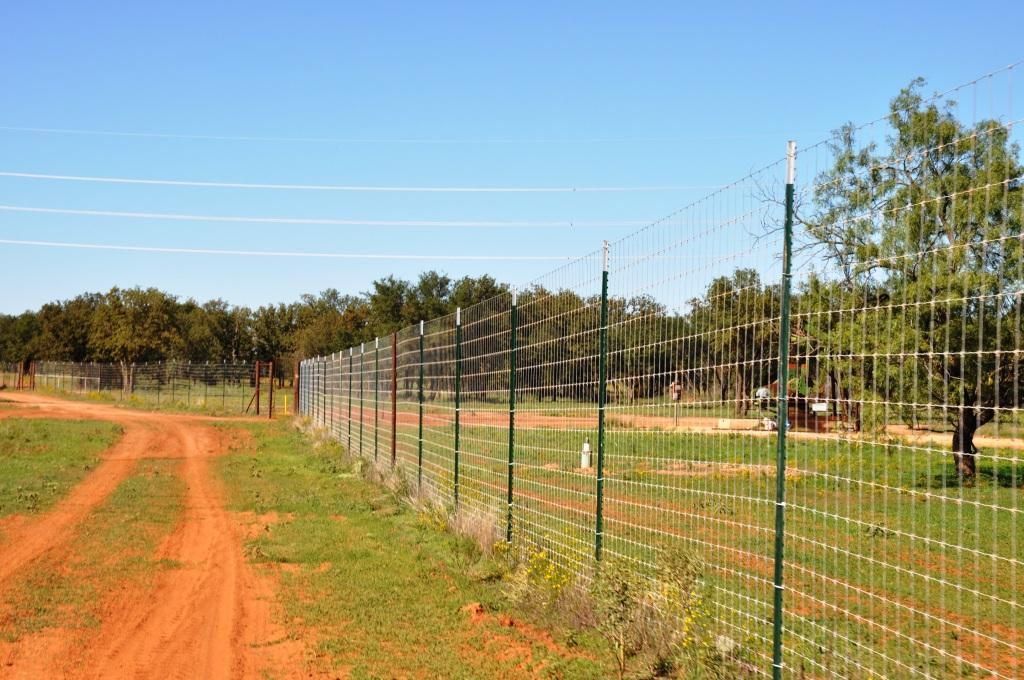 Bronte, Coke County, TX Farms and Ranches for sale Property ID