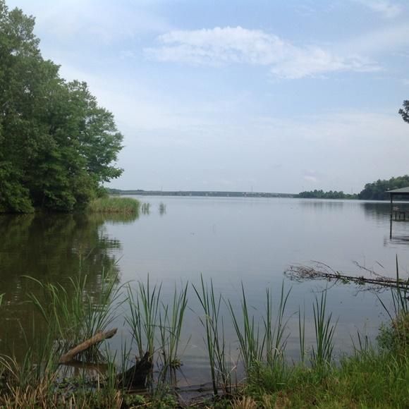 Millers Ferry, Wilcox County, AL Recreational Property, Riverfront