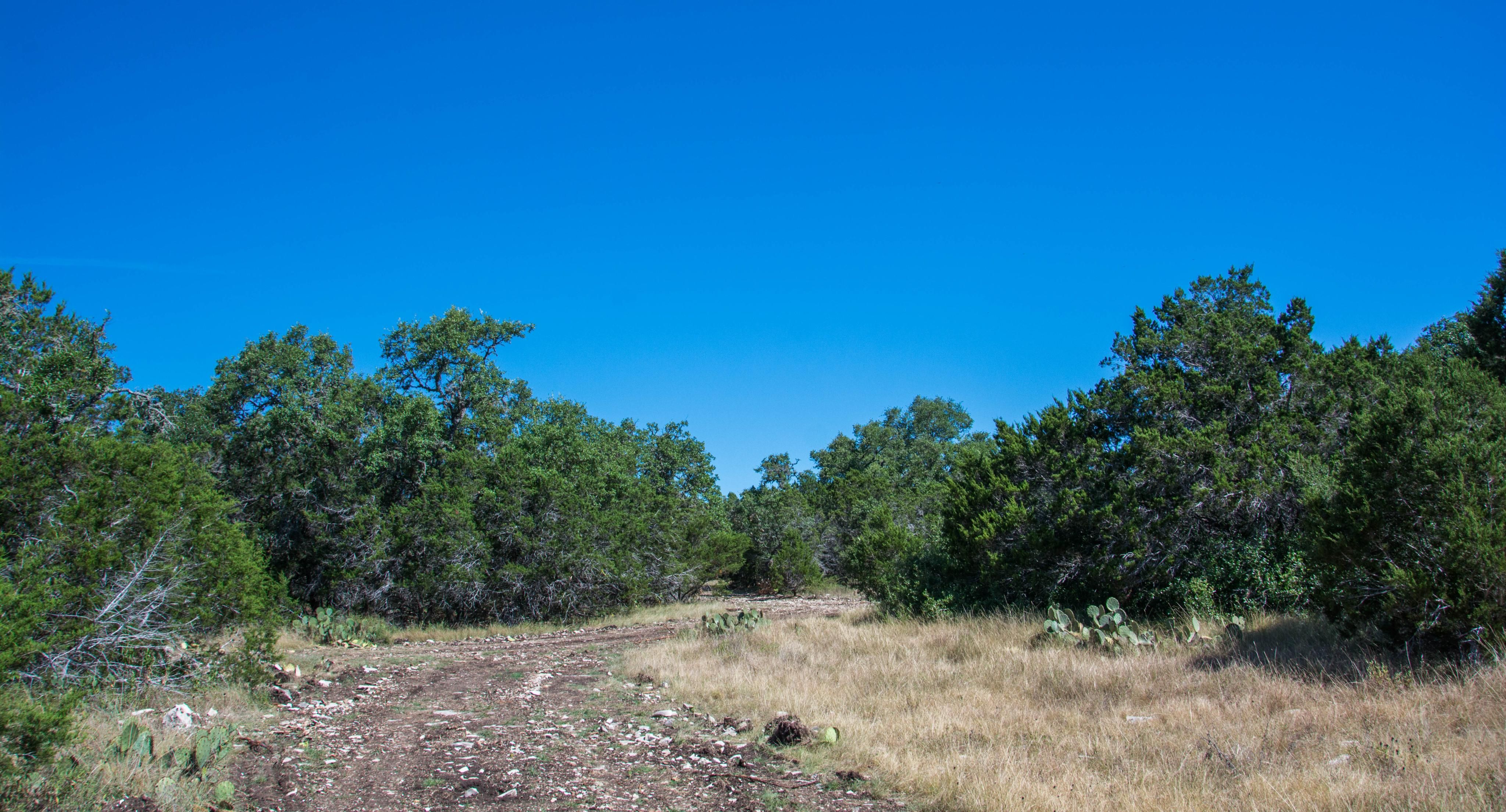 Tarpley, Bandera County, TX Farms and Ranches, Recreational Property, Hunting Property for sale