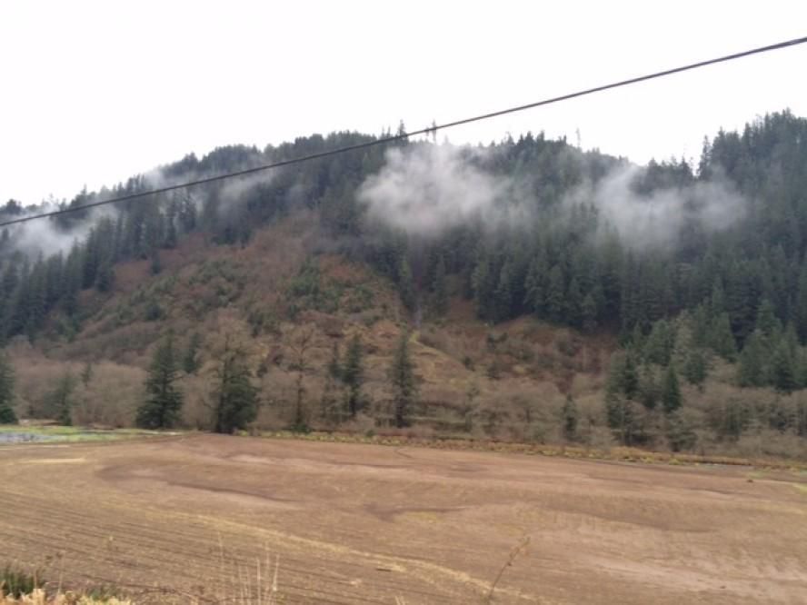 Tillamook, Tillamook County, OR Farms and Ranches for sale Property ID