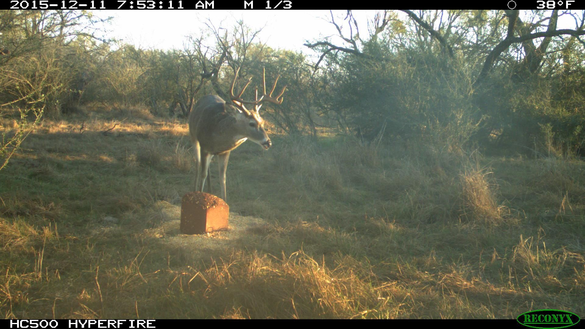 Hext, Menard County, TX Farms and Ranches, Recreational Property, Hunting Property for sale