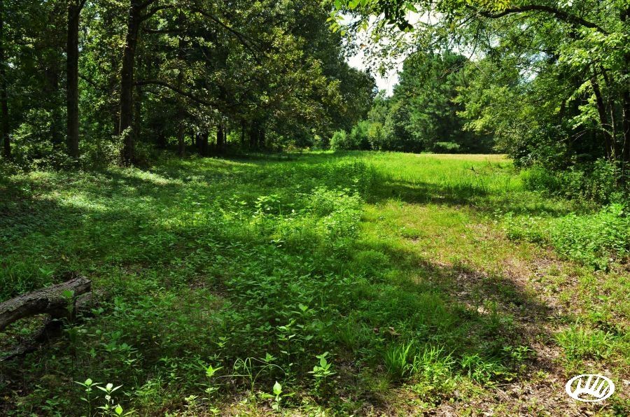 Boaz, Graves County, KY Farms and Ranches, House for sale Property ID