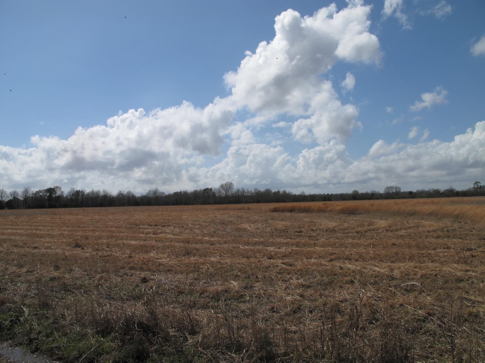 Opelousas, Saint Landry Parish, LA Farms and Ranches for sale Property