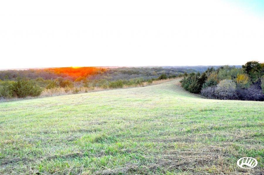 Newcastle, Dixon County, NE Farms and Ranches for sale Property ID