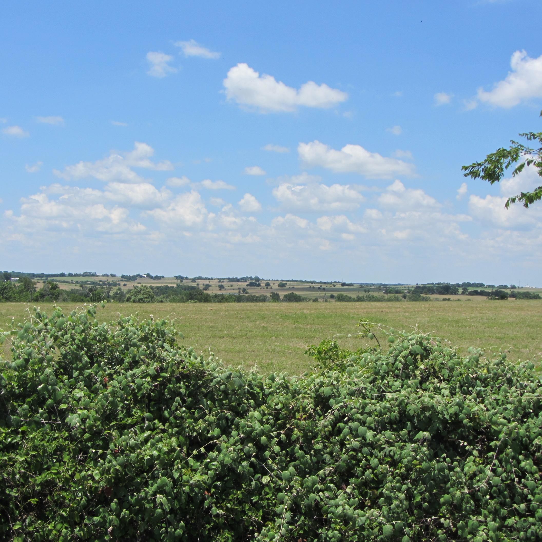 New Ulm, Austin County, TX Farms and Ranches for sale Property ID