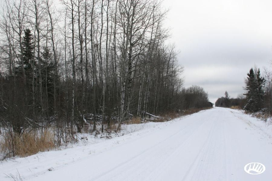 Birchdale, Koochiching County, MN Farms and Ranches for sale Property