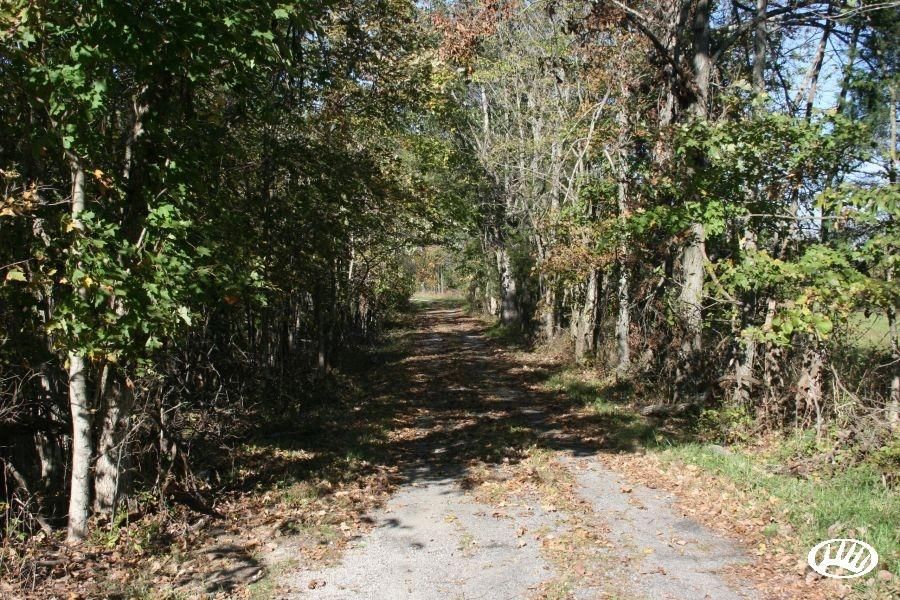 Falmouth, Pendleton County, KY Farms and Ranches for sale Property ID