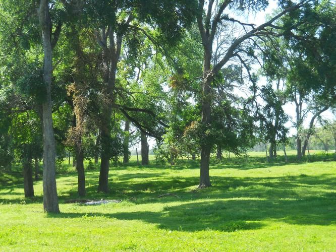 Cedar Creek, Bastrop County, TX Commercial Property for sale Property