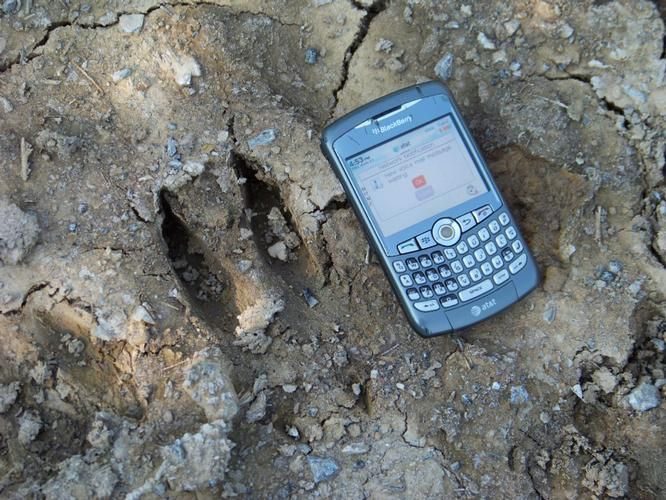 Nortonville, Hopkins County, KY Farms and Ranches for sale Property ID