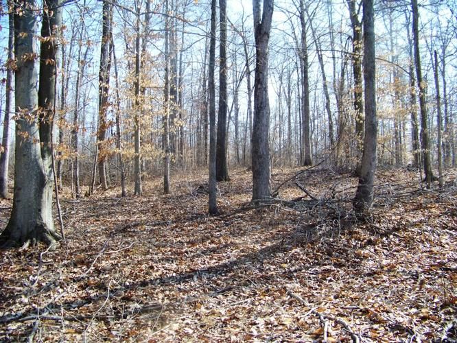 Dawson Springs, Hopkins County, KY Farms and Ranches for sale Property ID 400444293 LandWatch