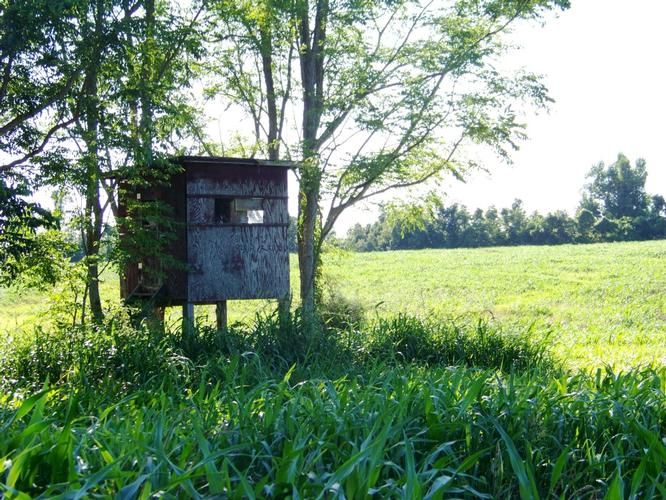 Crayne, Crittenden County, KY Farms and Ranches for sale Property ID