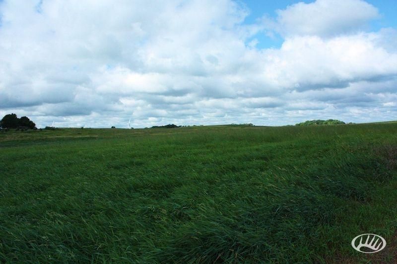 Blooming Prairie, Steele County, MN Farms and Ranches for sale Property