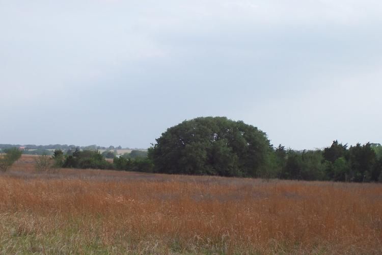 Frelsburg, Colorado County, TX Farms and Ranches for sale Property ID