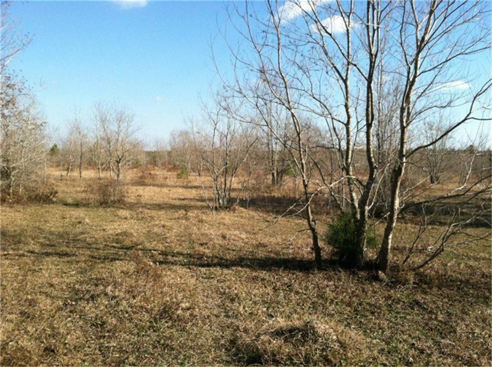 Batson, Hardin County, TX Farms and Ranches for sale Property ID 401085557 LandWatch