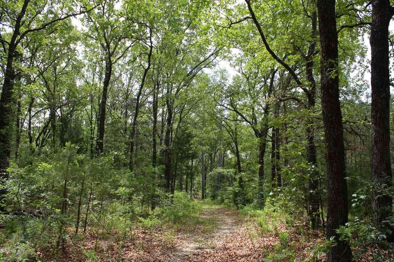 Mineola, Wood County, TX Farms and Ranches for sale Property ID