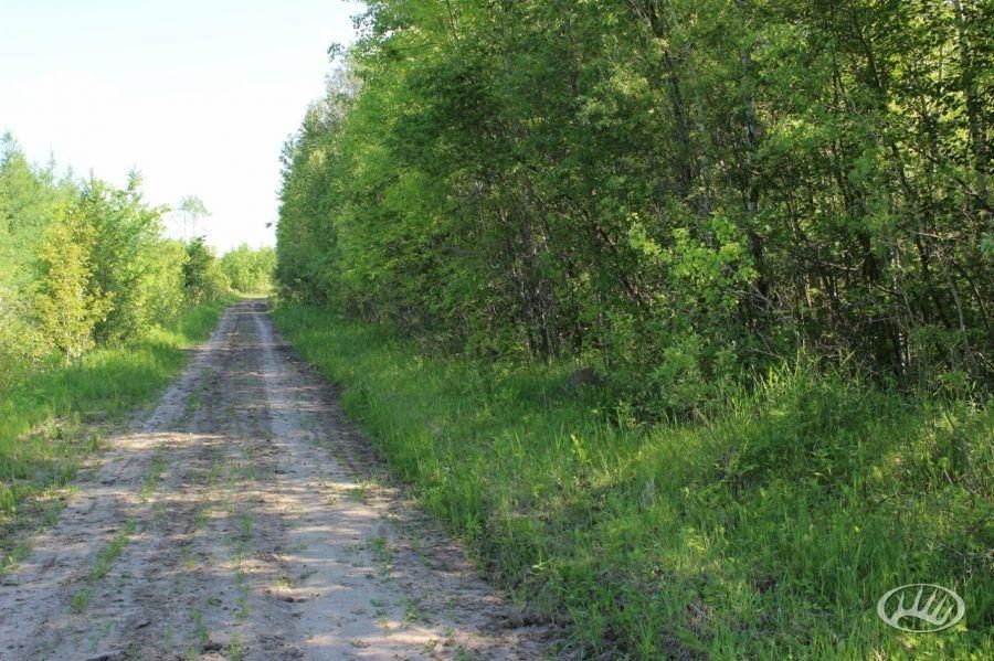 Aitkin, Aitkin County, MN Farms and Ranches for sale Property ID